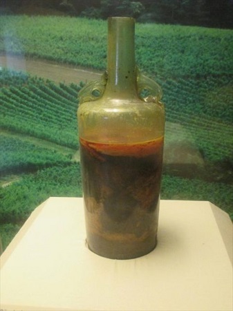 世界上最古老的葡萄酒大收藏