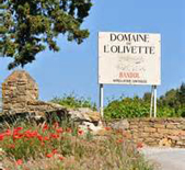 奧維特酒莊(Domaine de l'Olivette)