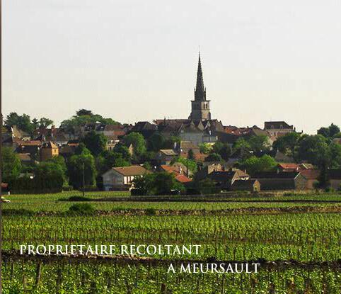 格魯酒莊Domaine Jean-Michel Gaunoux