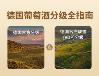 德國葡萄酒分級全指南