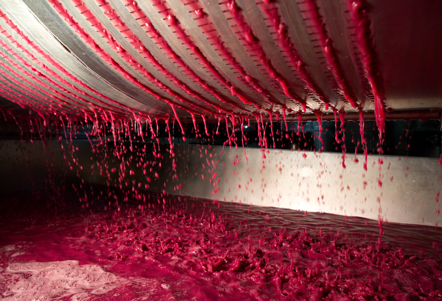 图解红葡萄酒的酿造过程
